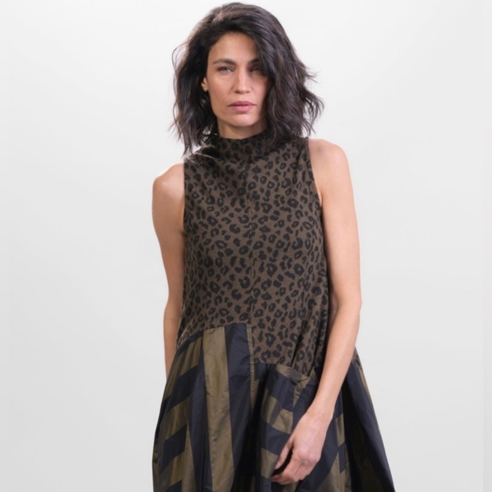 Cheetah + Stripe Dress by Alembika